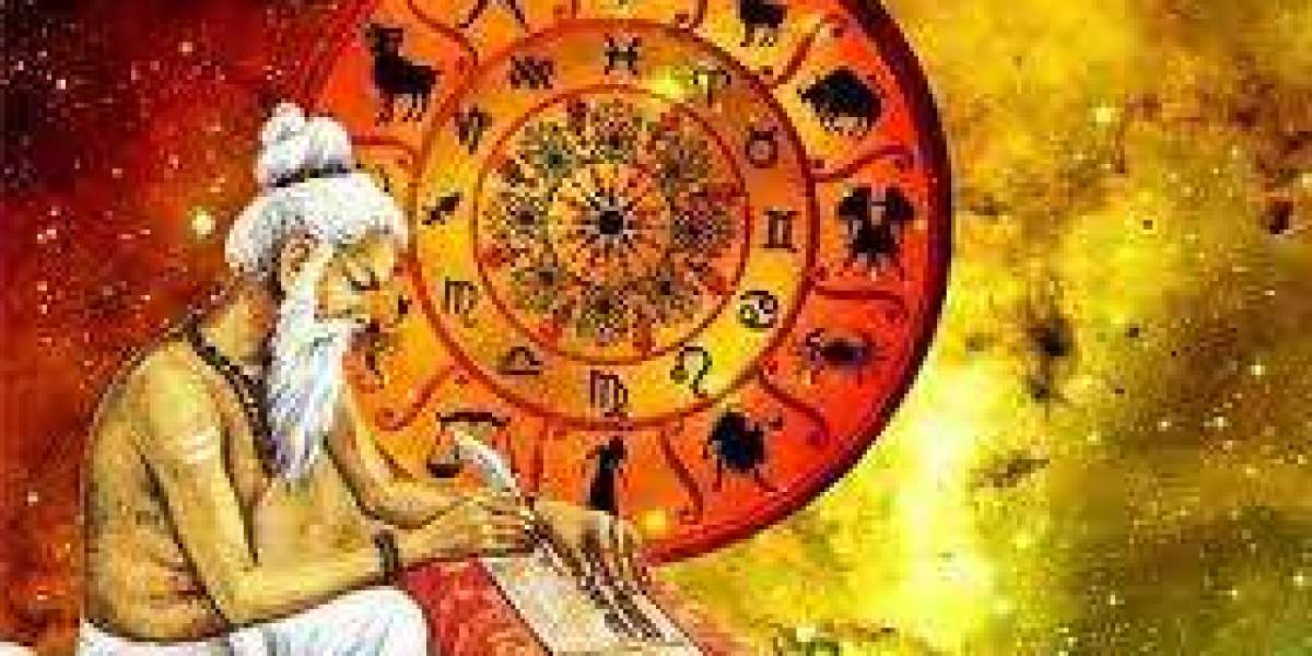Famous Astrologer in Punjab | +91-9672642354