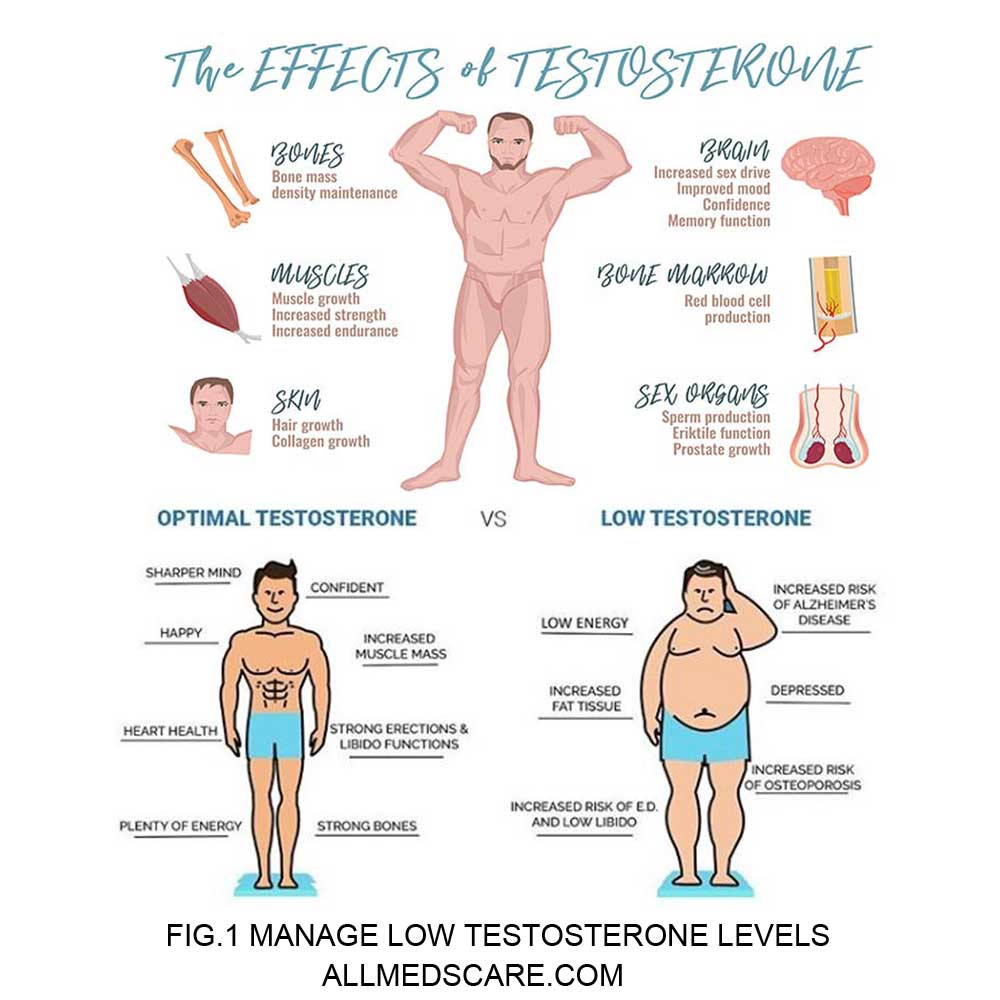 Tips to Manage low testosterone levels in Men! - Allmedscare.com