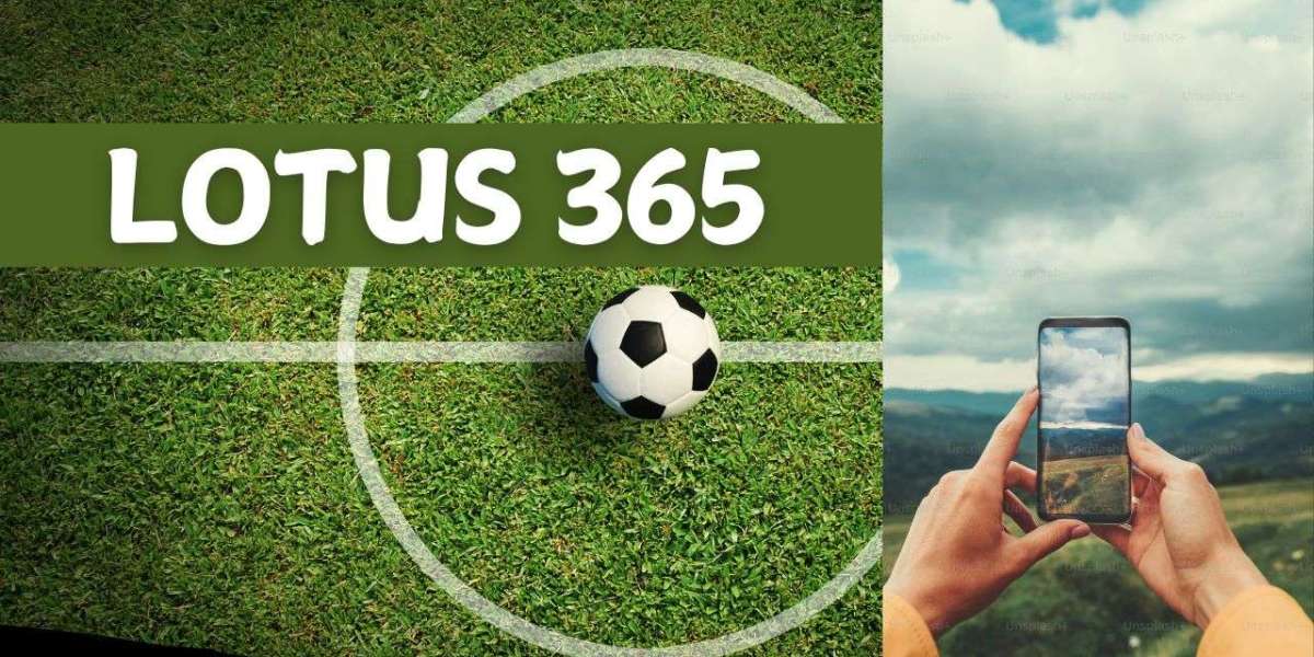 Beginner’s Guide to Lotus365: Everything You Need to Know