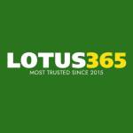lotus365onlinebetting Profile Picture
