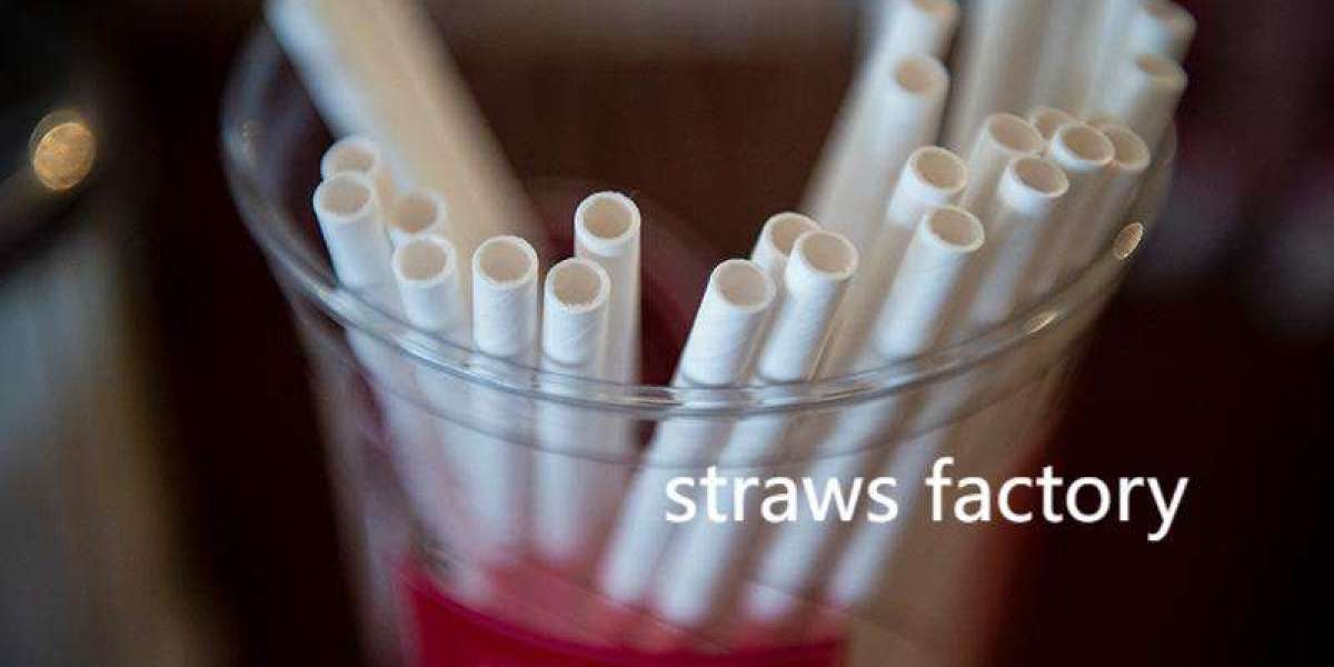 Eco-friendly straws ideal for travel convenience