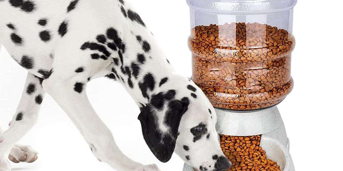 Can PawTechPet Feeder Avoid Overfeeding Pets?