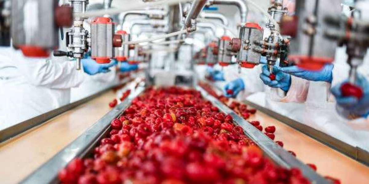 Fruit Concentrate Market Share and Size Insights, Industry Overview and Growth Prospects